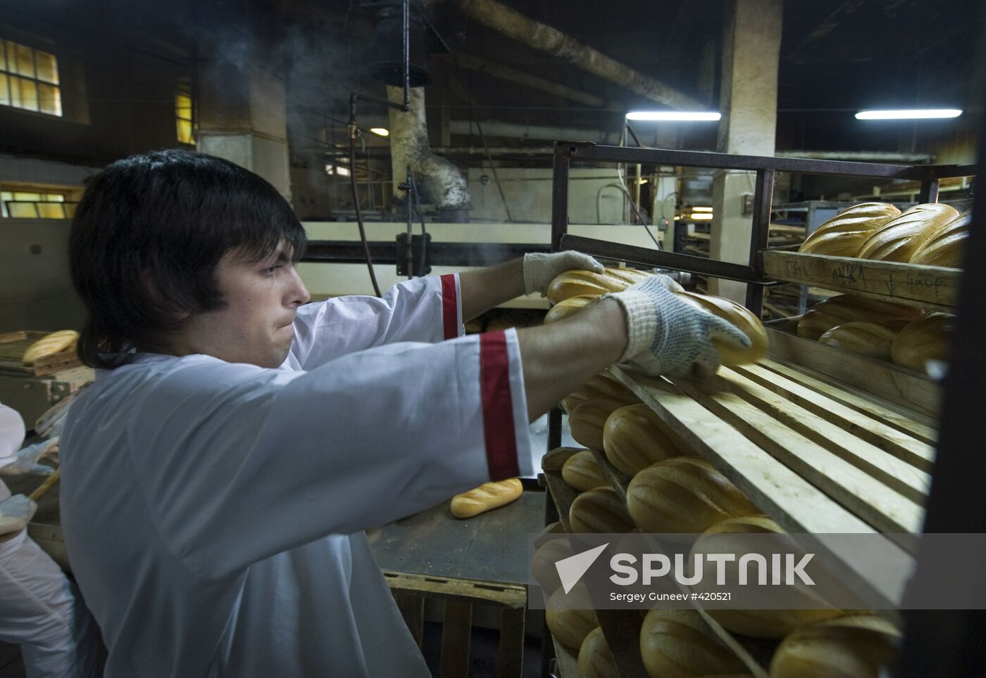 Zvenigorod bakery plant