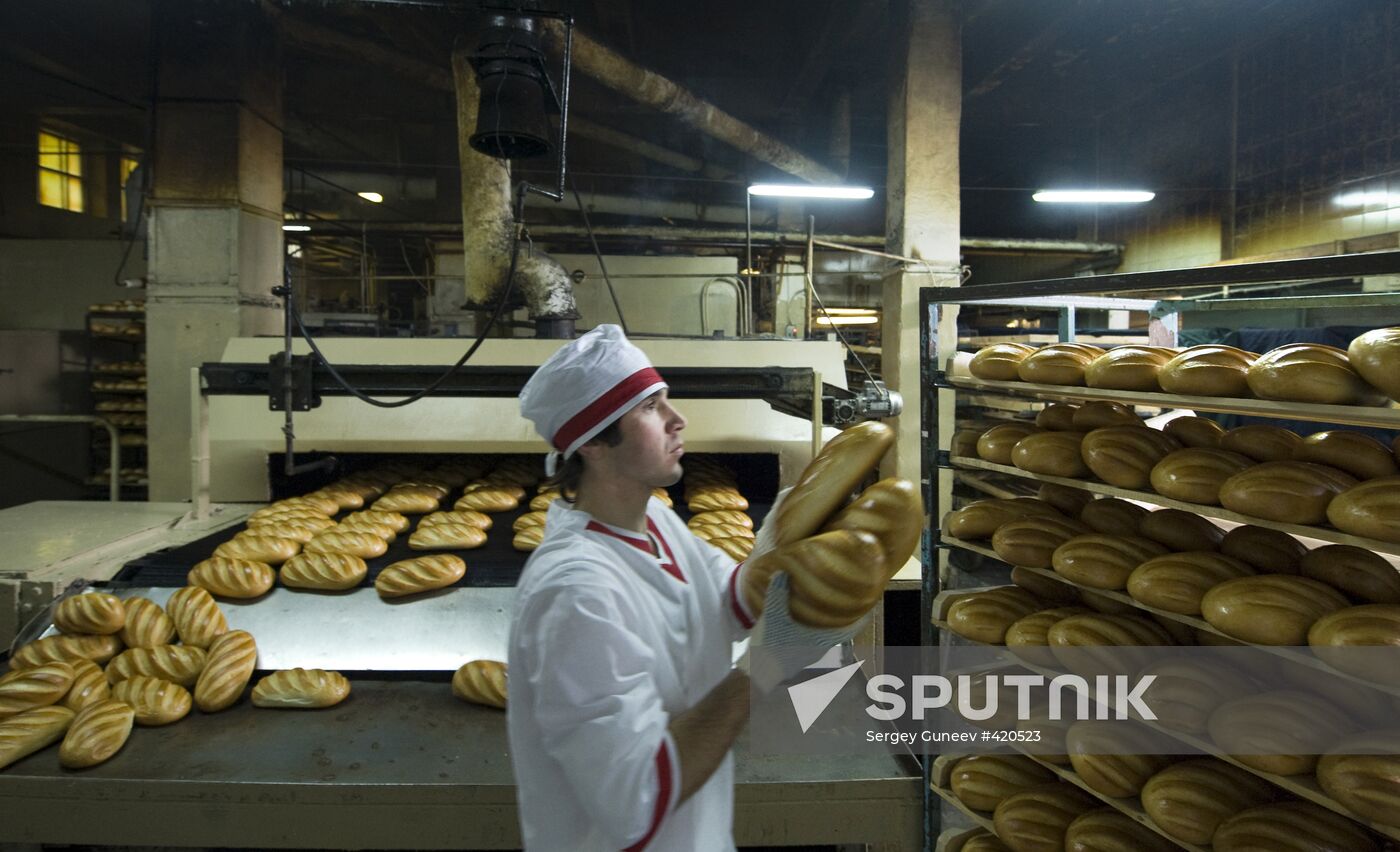 Zvenigorod bakery plant