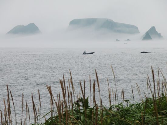 The Kuril Islands