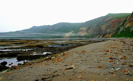 The Kurils