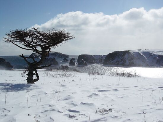The Kuril Islands