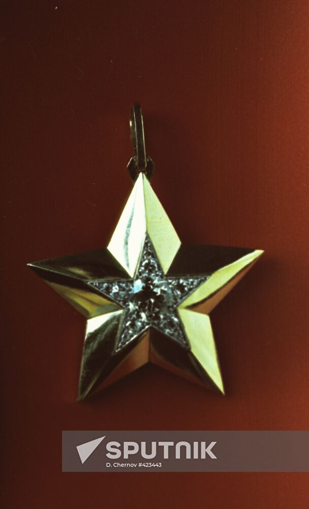"Marshal's Star" for service arm