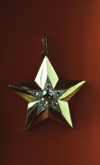 "Marshal's Star" for service arm