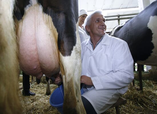 Vladimir Litvin, Ukraine Verkhovna Rada Chairman