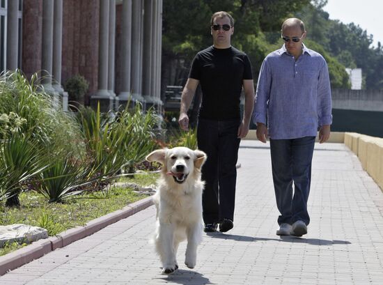 Dmitry Medvedev and Vladimir Putin hold working meeting in Sochi