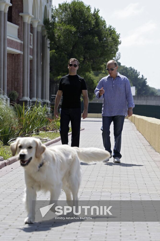 Dmitry Medvedev and Vladimir Putin hold working meeting in Sochi