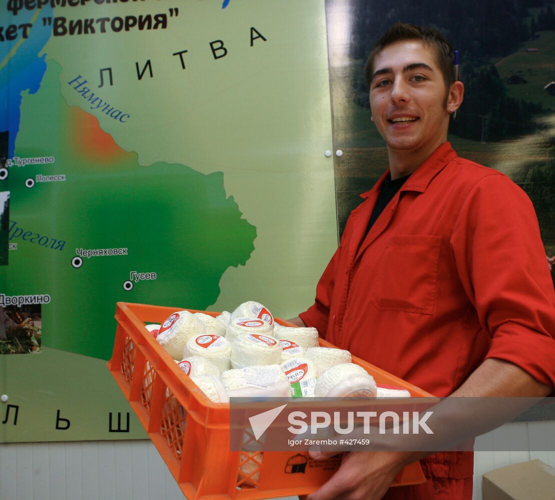 Lithuanian dairy products in supermarket in Kaliningrad