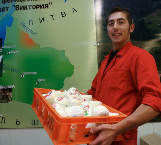 Lithuanian dairy products in supermarket in Kaliningrad