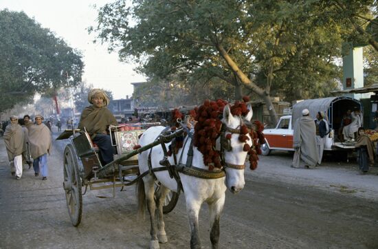 Jalalabad street