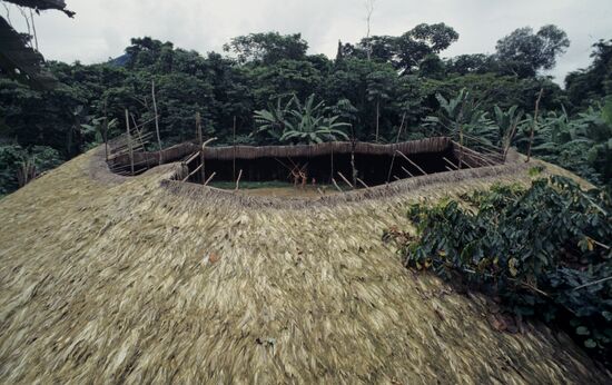Giant reed roof of house-village of Yanomamo tribe