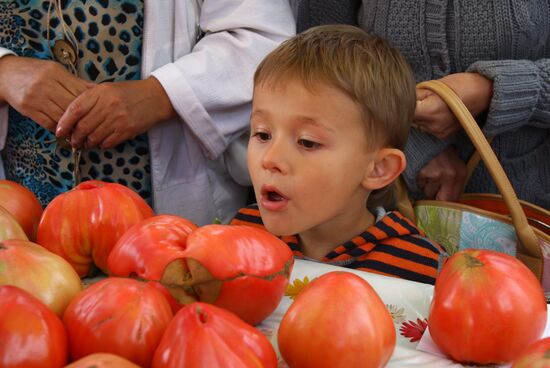 Tomato Day festival in Minusinsk