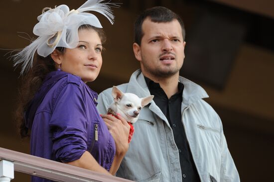 Breeders' Cup in Moscow: 4th round
