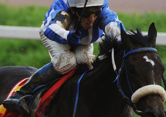 Breeders' Cup in Moscow: 4th round