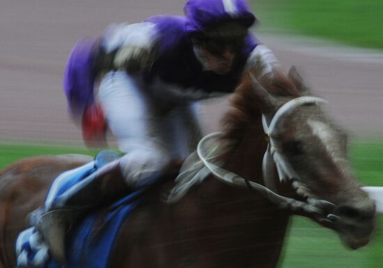 Breeders' Cup in Moscow: 4th round