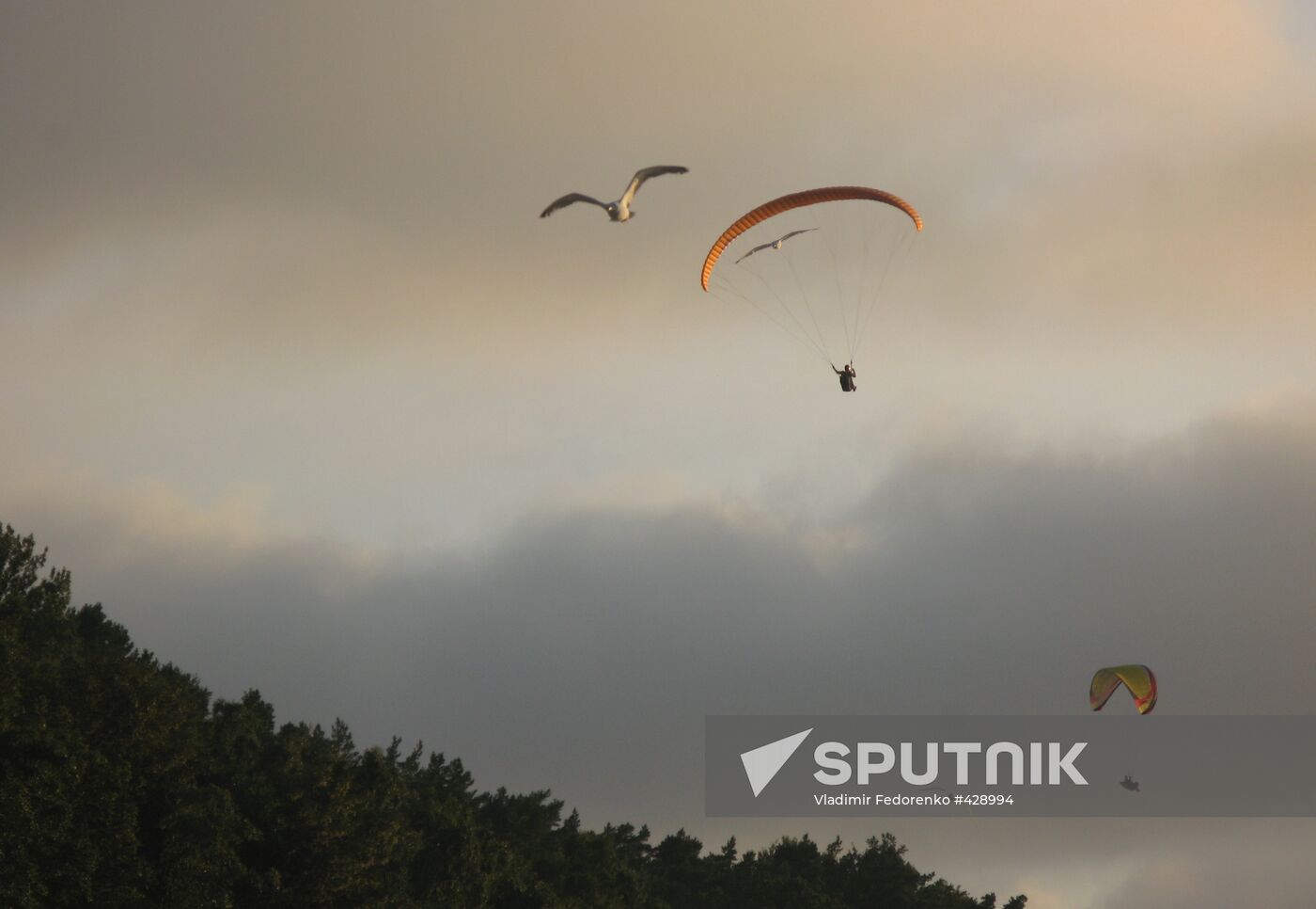 Parachutist over Baltic shore