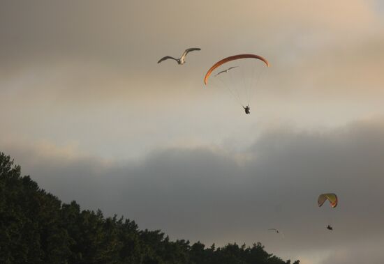 Parachutist over Baltic shore