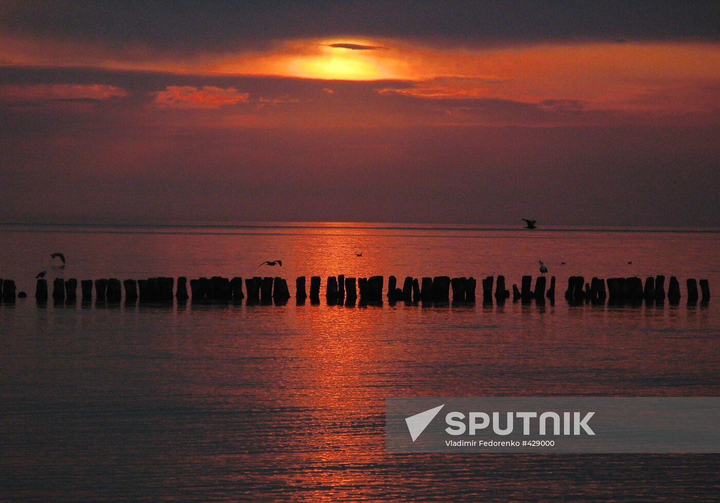 Baltic Sea coast
