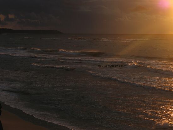 Baltic Sea coast