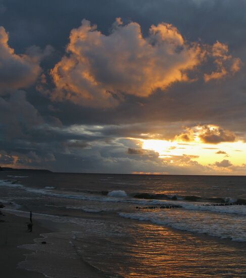 Baltic Sea coast