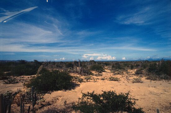 Margarita island