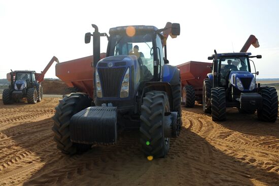 Grain harvesting in Otradaagroinvest, Oryol Region