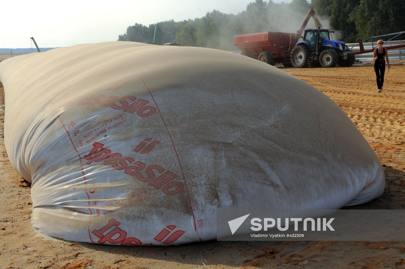 Grain harvesting in Otradaagroinvest, Oryol Region