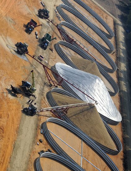 Grain harvesting in Otradaagroinvest, Oryol Region