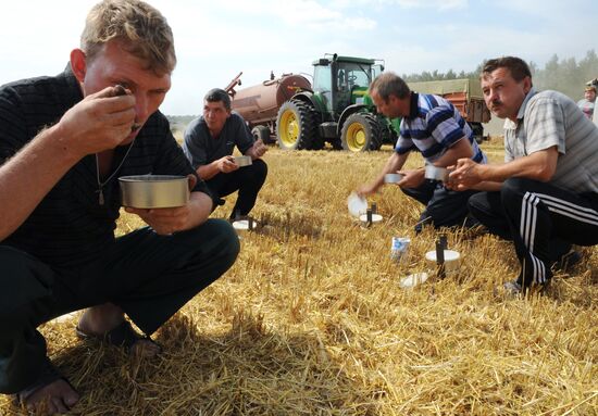 Grain harvesting in Otradaagroinvest, Oryol Region