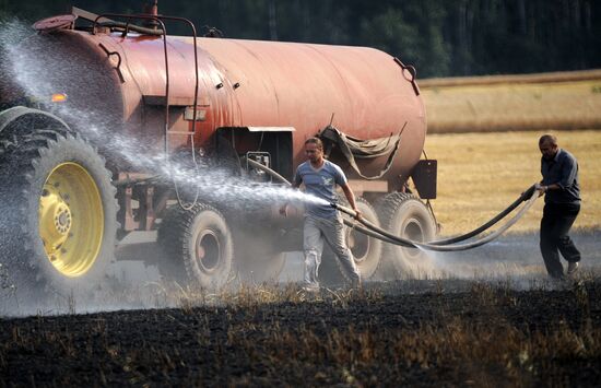 Grain harvesting in Otradaagroinvest, Oryol Region