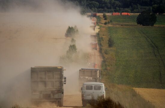 Grain harvesting in Otradaagroinvest, Oryol Region