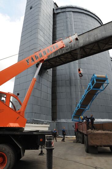 Grain harvesting in Otradaagroinvest, Oryol Region