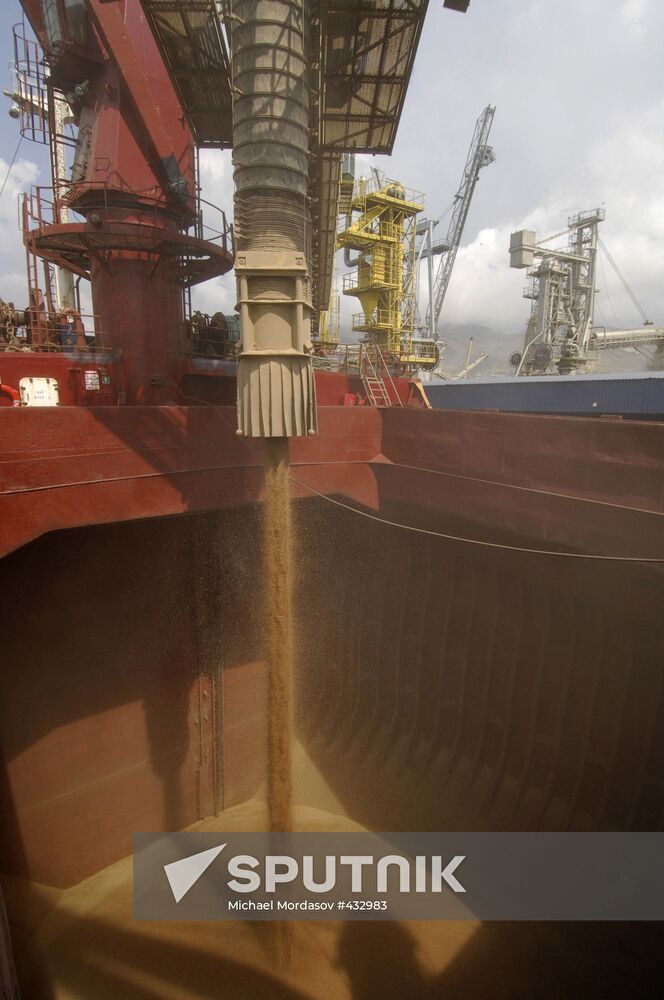 Grain terminal in the port of Novorossiysk