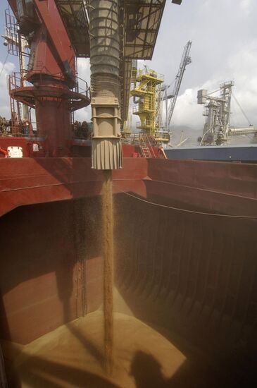 Grain terminal in the port of Novorossiysk