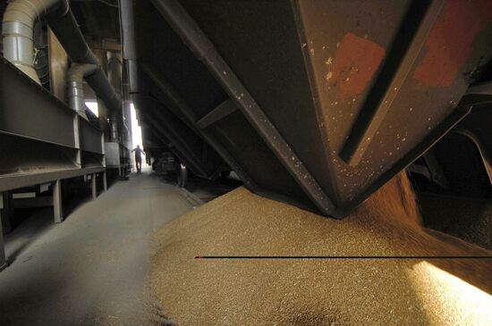 Grain terminal in the port of Novorossiysk