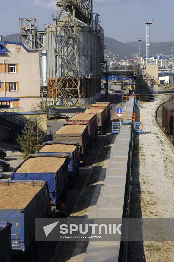 Grain terminal in the port of Novorossiysk