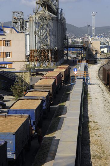 Grain terminal in the port of Novorossiysk