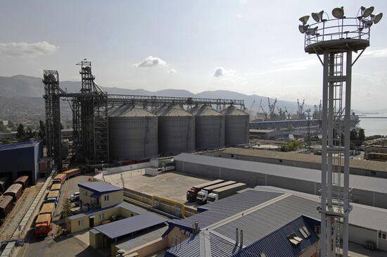 Grain terminal in the port of Novorossiysk