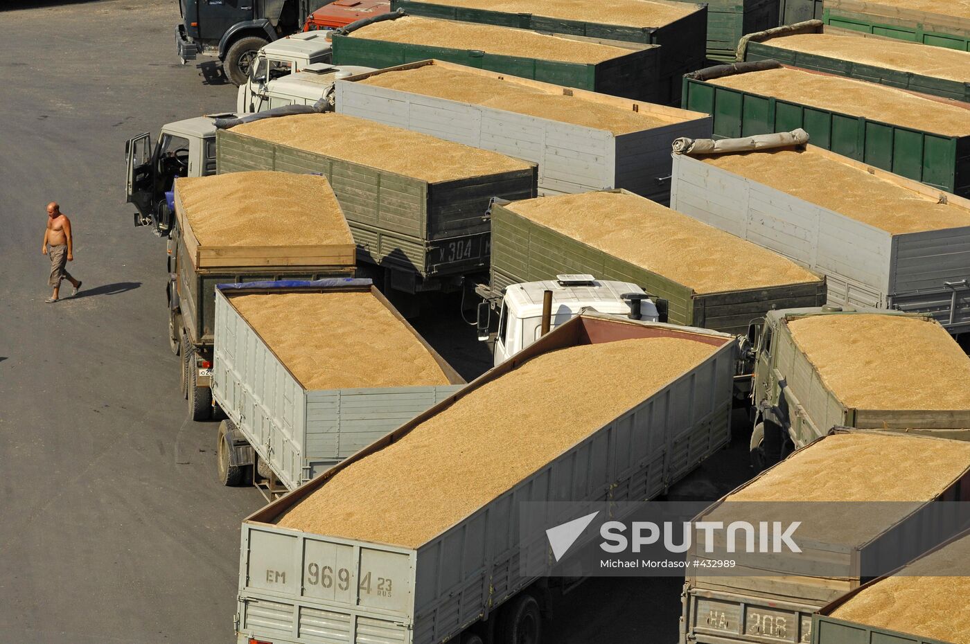 Grain terminal in the port of Novorossiysk