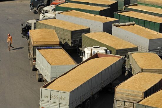Grain terminal in the port of Novorossiysk
