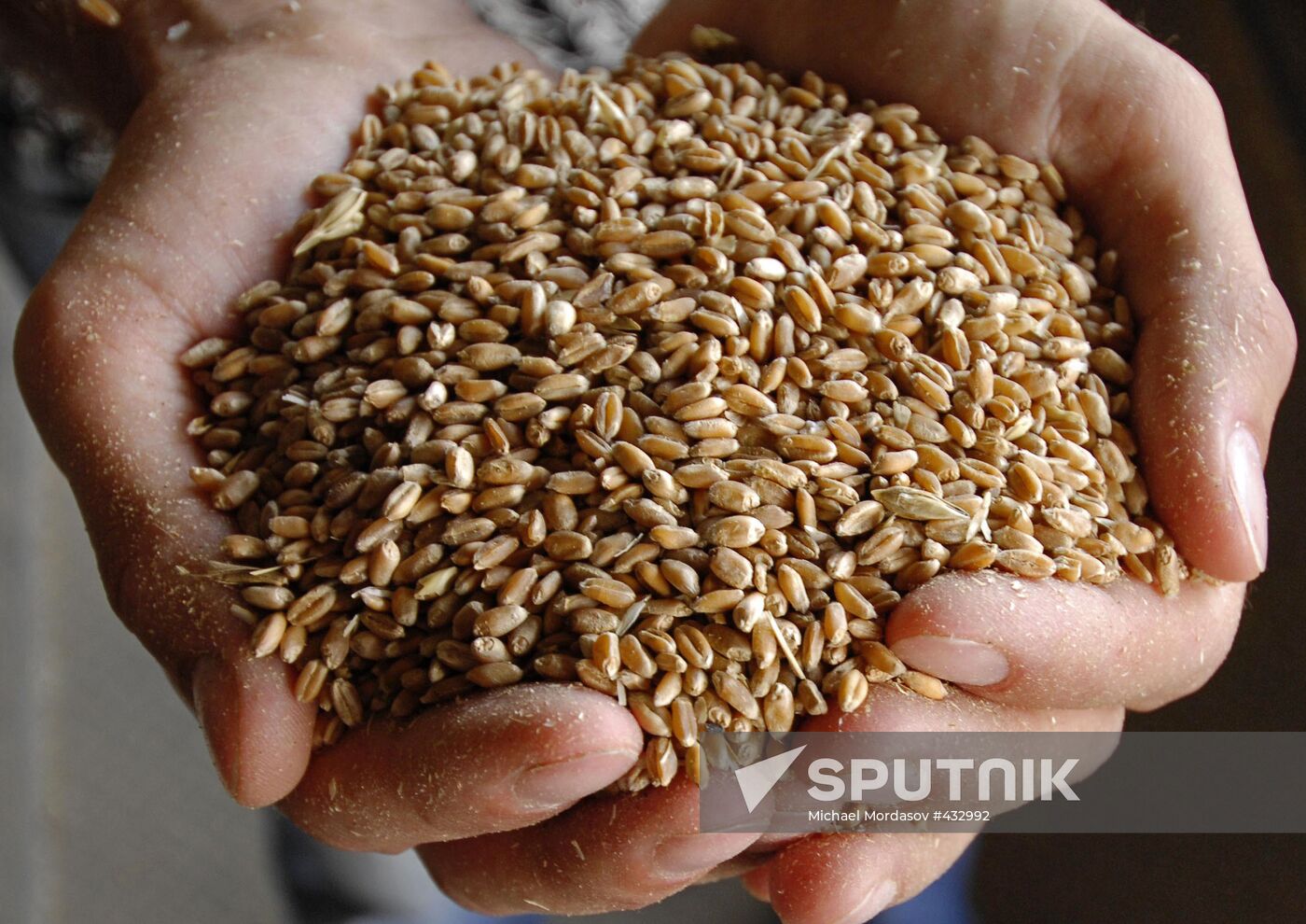 Grain terminal in the port of Novorossiysk