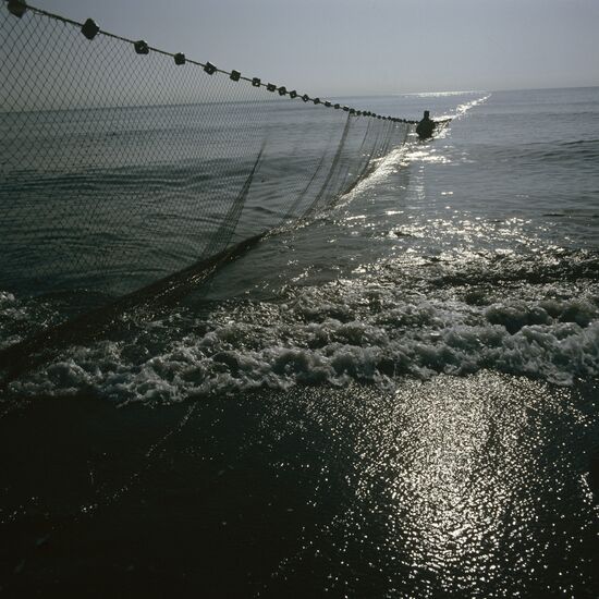 Fishing net