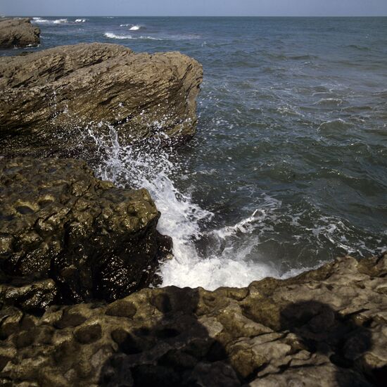Tide