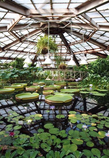 St. Petersburg Botanical Gardens