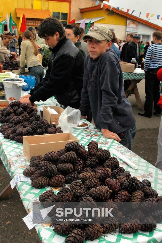 Selling cedar cones at rural fair