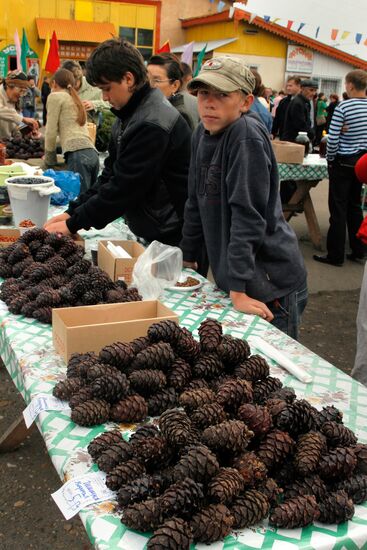 Selling cedar cones at rural fair