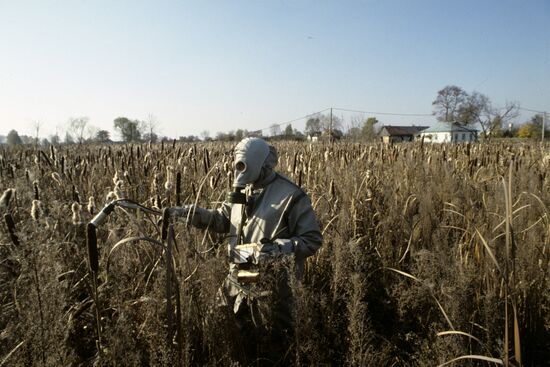 Checking the radiation level