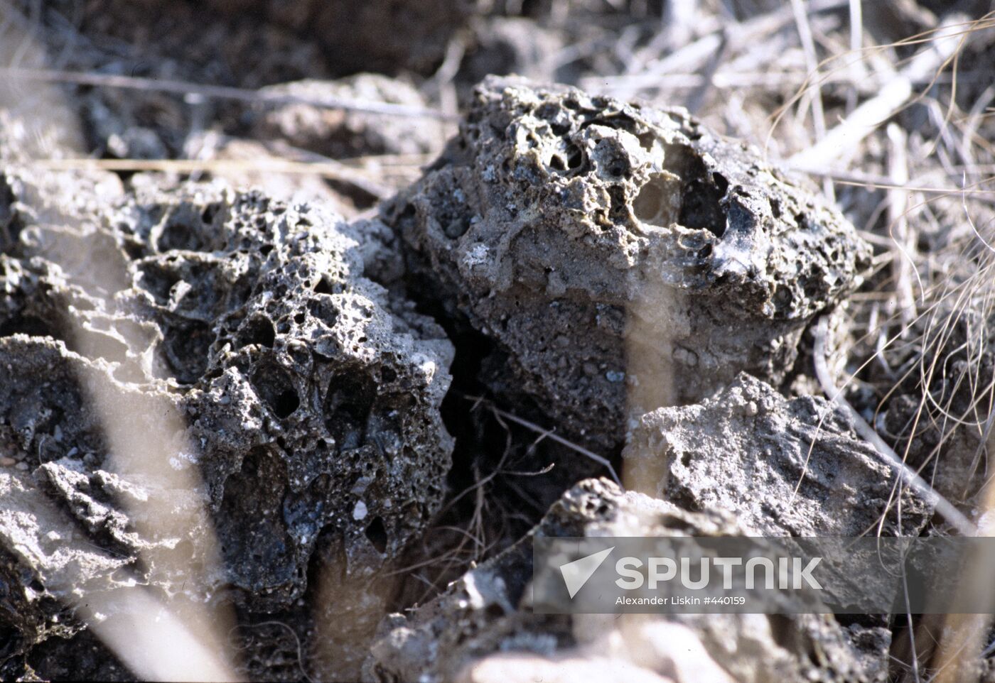 Semipalatinsk nuclear test site