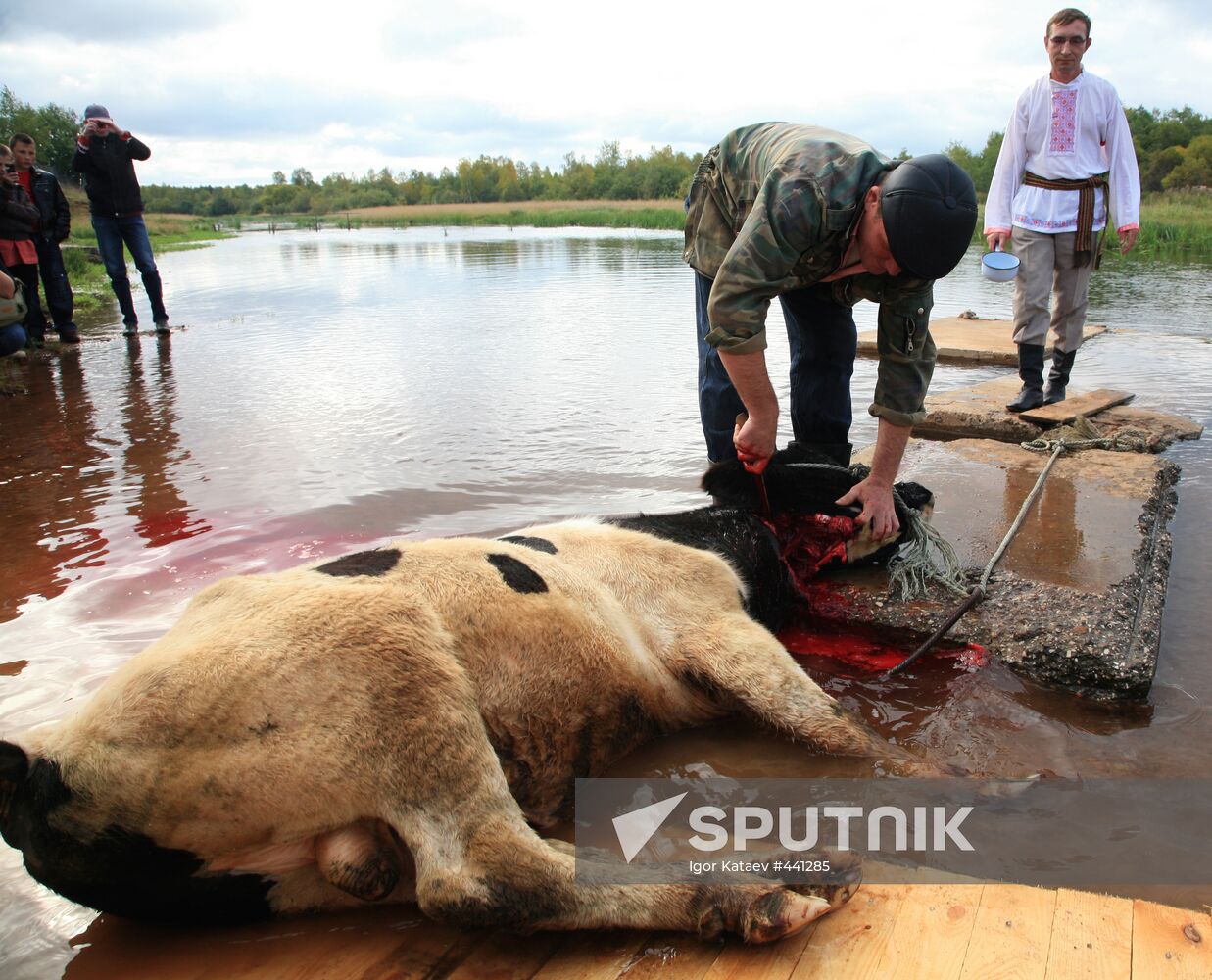 Pagan ritual of Bykoboi in the village of Bolshaya Kocha