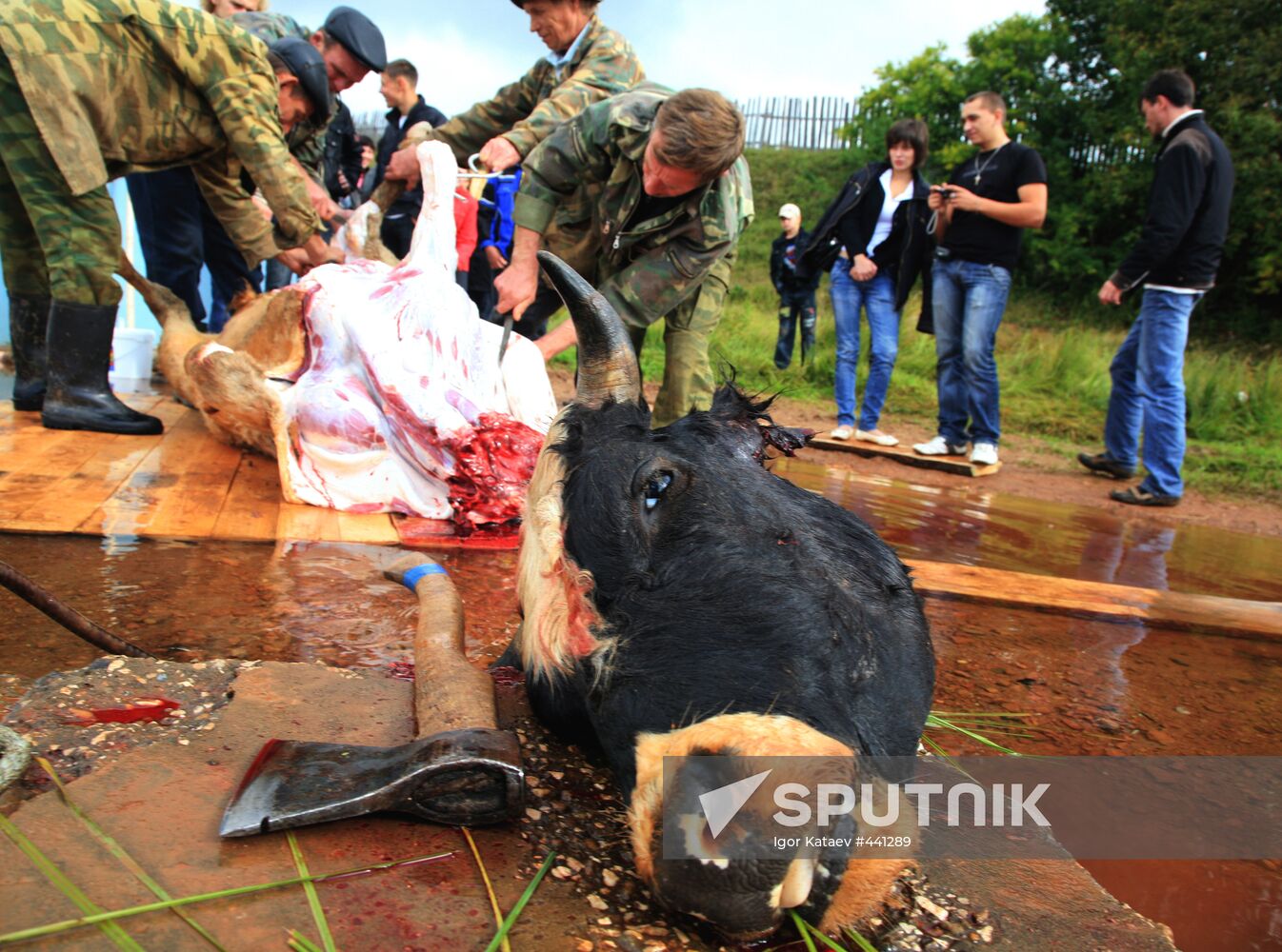 Pagan ritual of Bykoboi in the village of Bolshaya Kocha