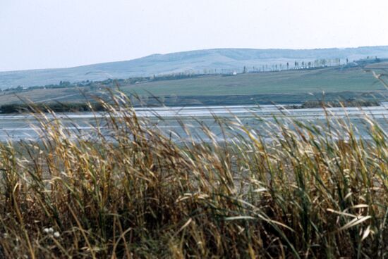 Flood-lands of the Reut River